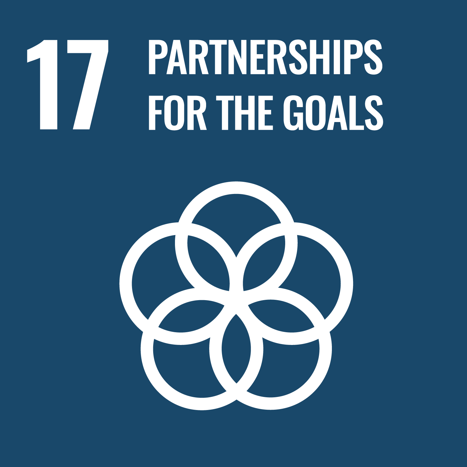 SDG 17: ความร่วมมือเพื่อการพัฒนาที่ยั่งยืน